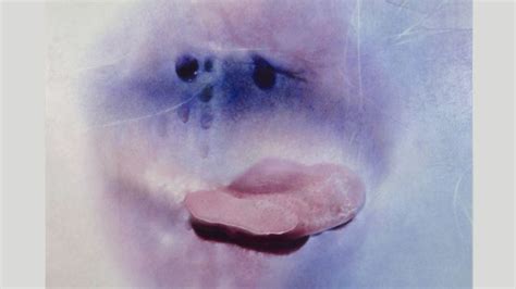 granny dex|Sex positivity after 70: Marilyn Minter’s sensual photographs of ...